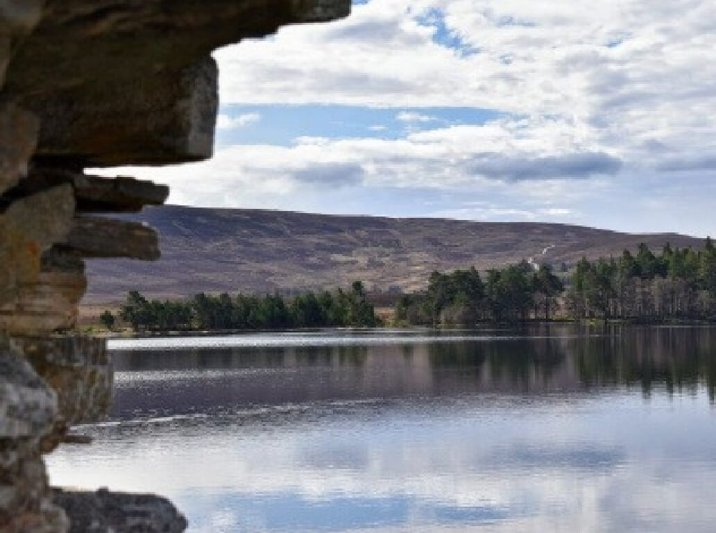 Cover of A Guide to the Use of Comparables in Rent Reviews